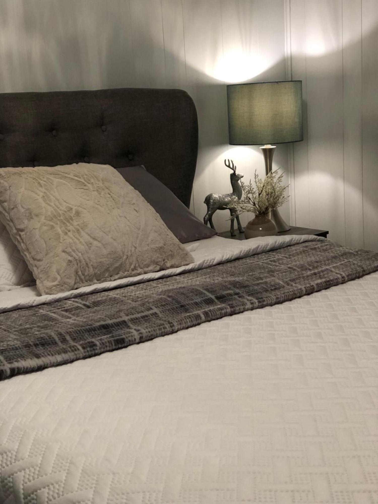 Alma'S Cape Shore Cottage! Your Home Away From Home! 보나비스타 외부 사진