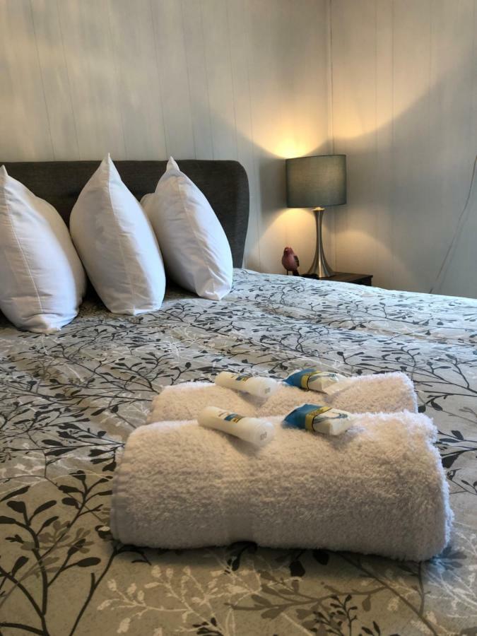 Alma'S Cape Shore Cottage! Your Home Away From Home! 보나비스타 외부 사진
